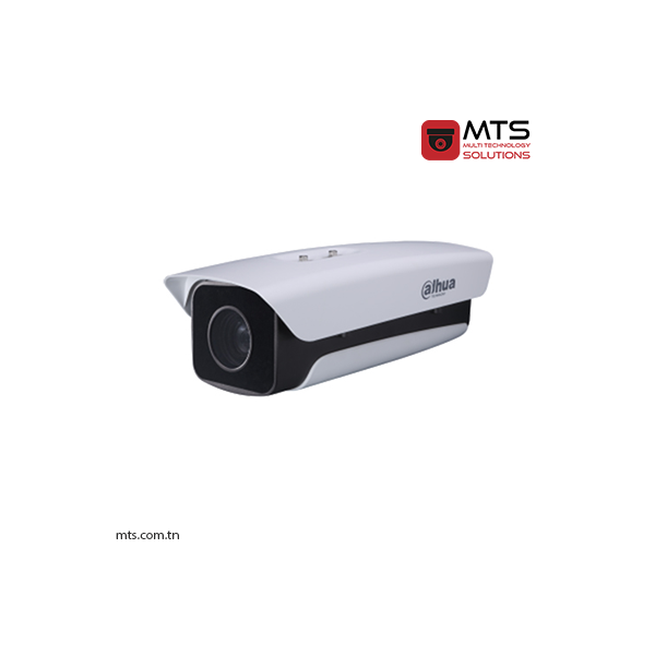SDZW2030S-N CAMERA IP DAHUA 2MP 30x  IP66 IR 150M