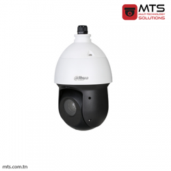 CAMERA IP DAHUA PTZ 2MP POE IP66 IR 100M